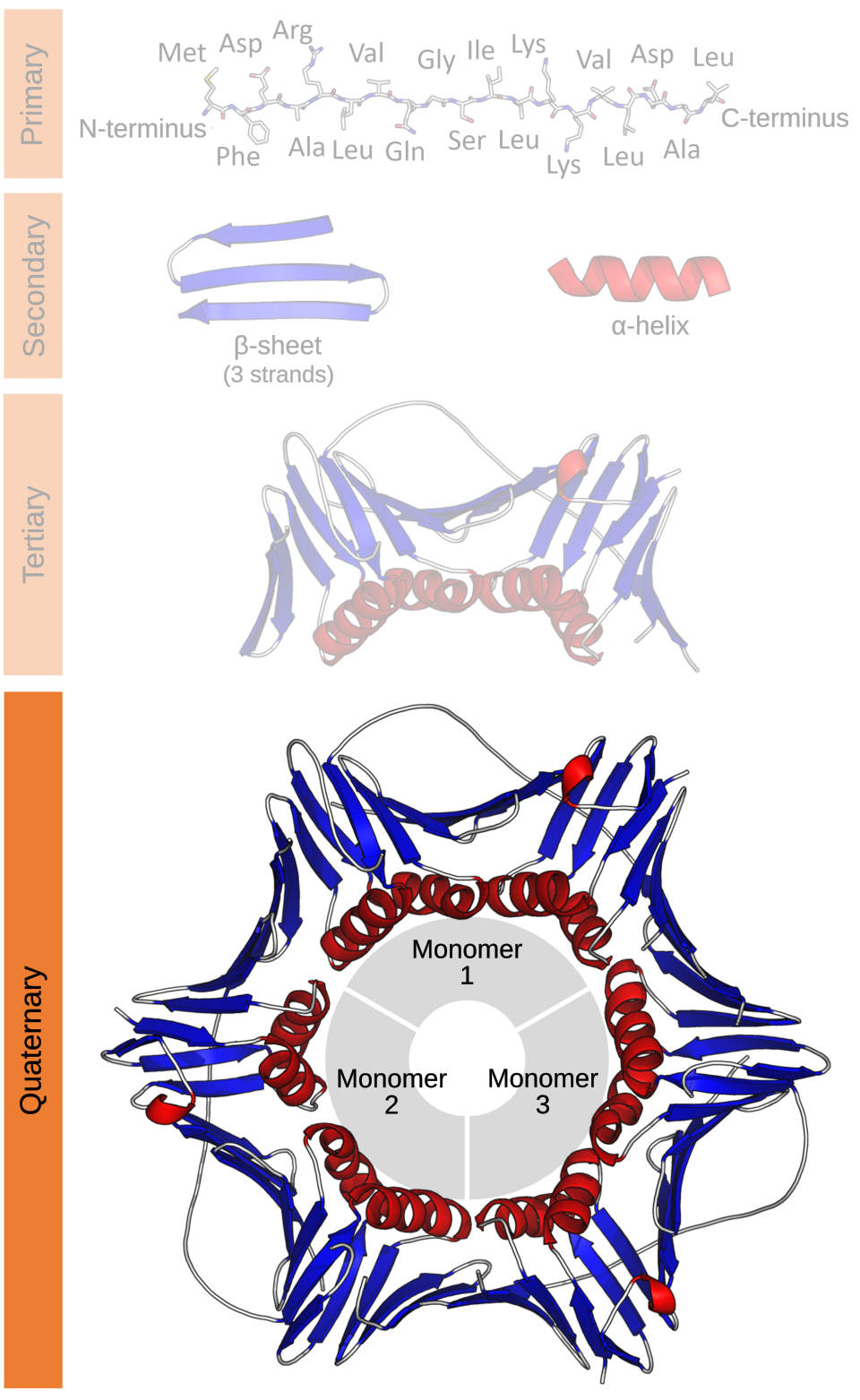 Quaternary structure