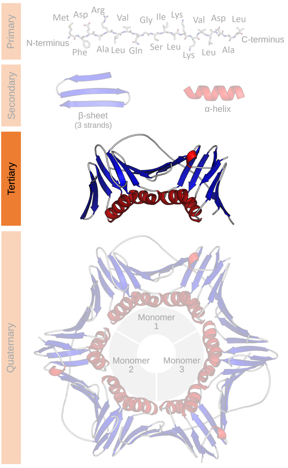 Tertiary structure