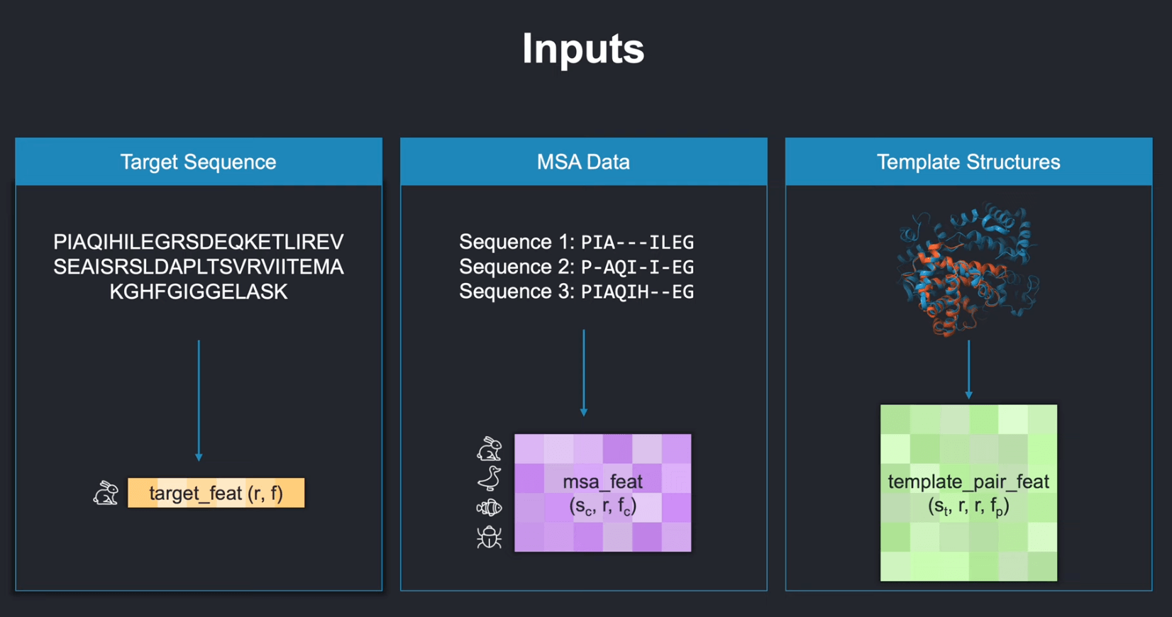 Target sequence, MSA, and templates entering the AlphaFold2 data pipeline