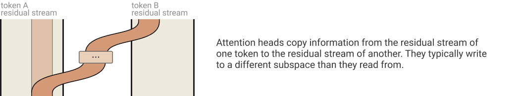 Attention Head Movement