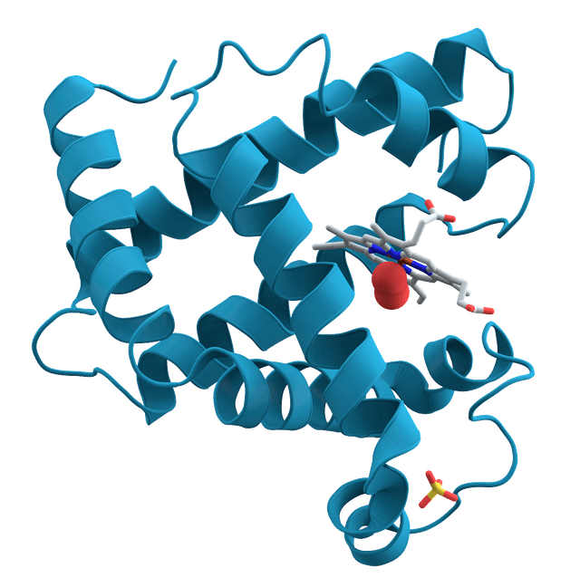 A prologue to protein structure prediction