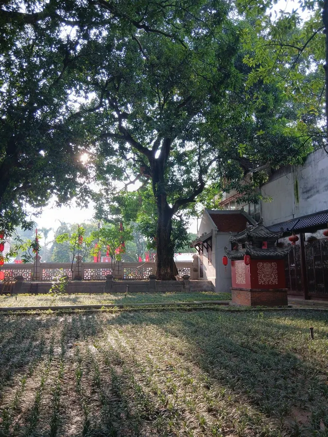 The courtyard of Đền Quán Thánh