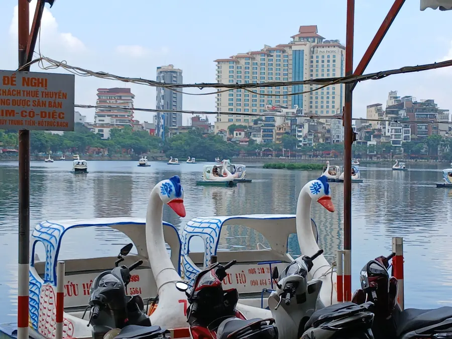 Swan boats on Hồ Tây